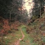 Sendero margen izquierda