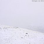 Goriz. 08 Febrero