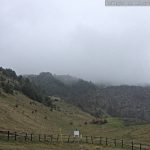 Lizara 8 Febrero