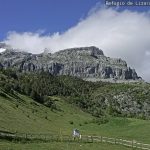 Lizara. 30.05.2024