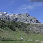 Lizara. 9.05.24
