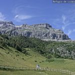 Lizara.13.06.24