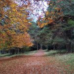 Comienzo del recorrido